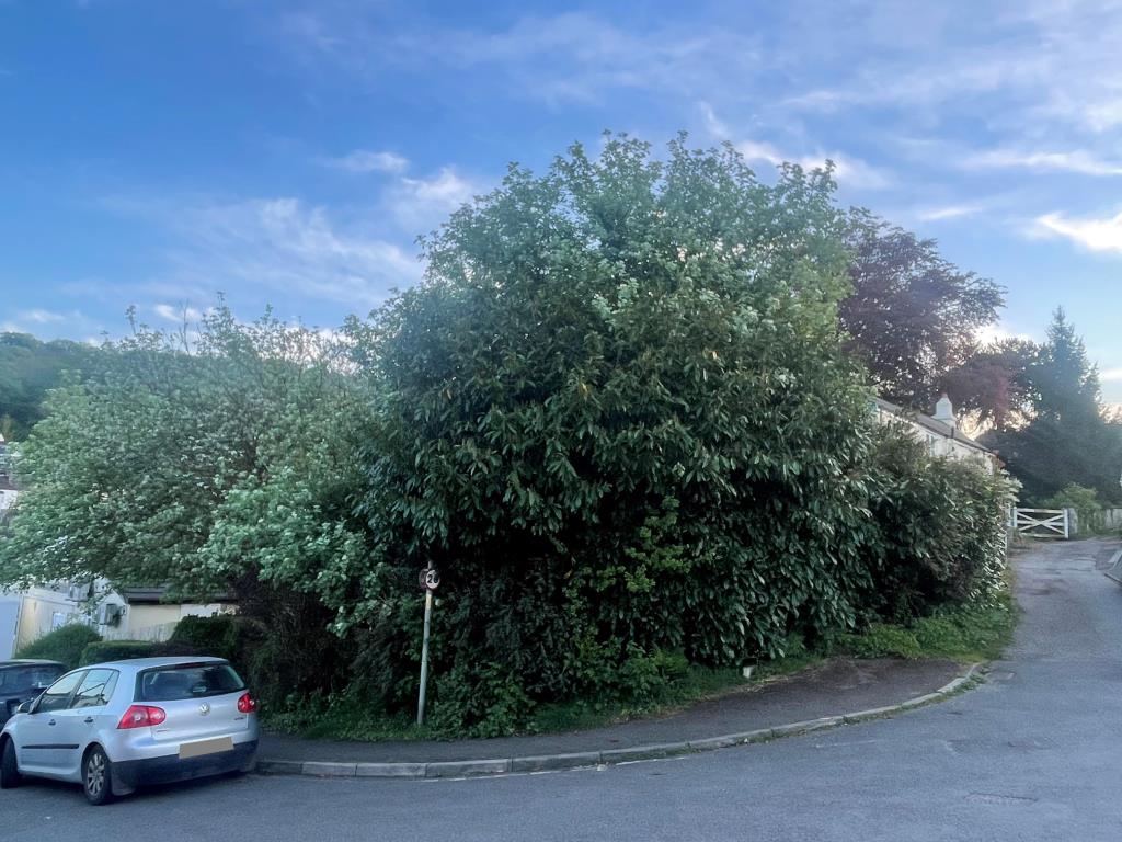 Lot: 55 - FREEHOLD LAND - External photo of overgrown land from slightly different angle